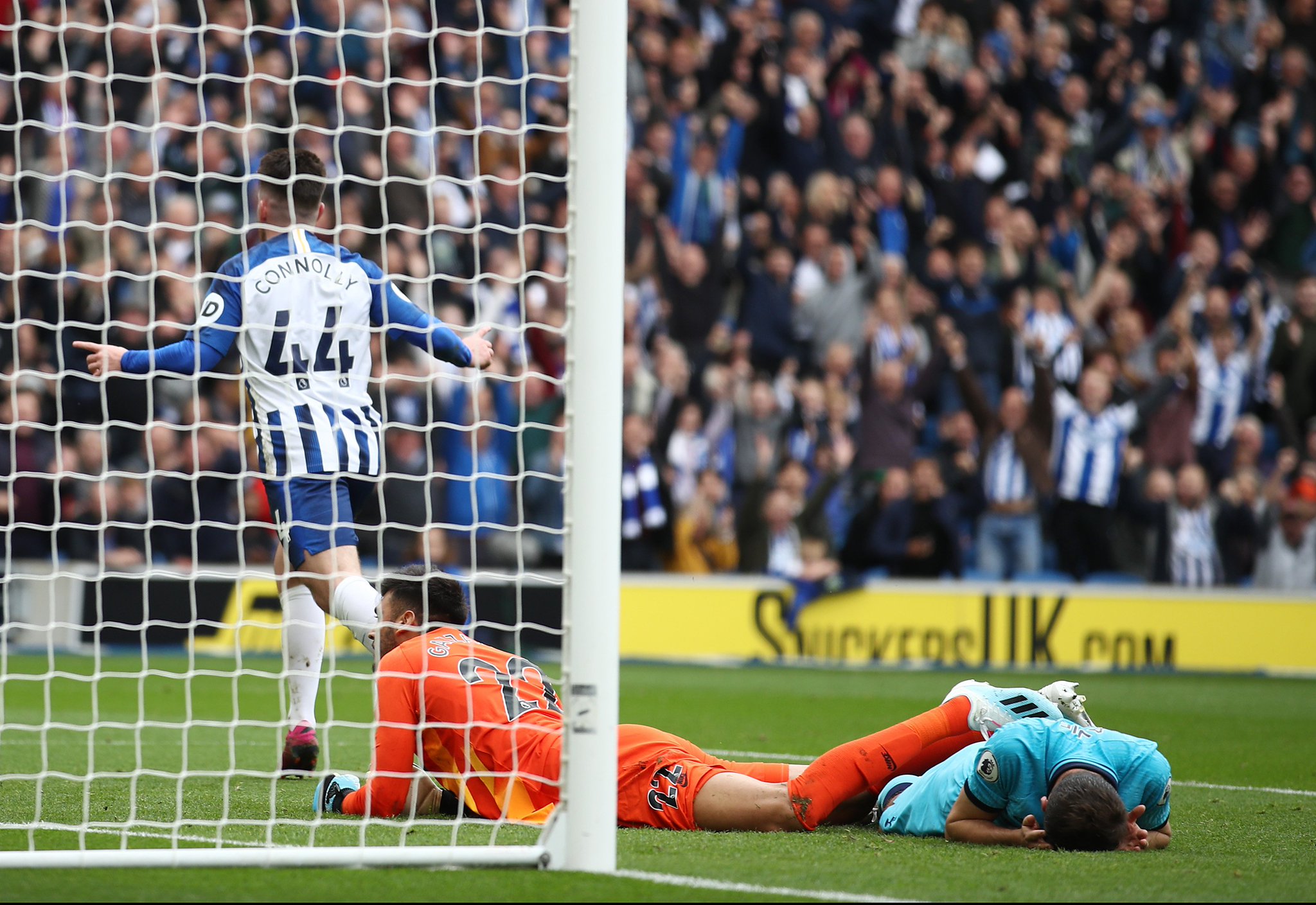 迷或许感到 迷或许感到